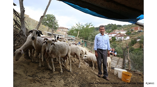 Göçten vazgeçip hayvancılığa başladılar