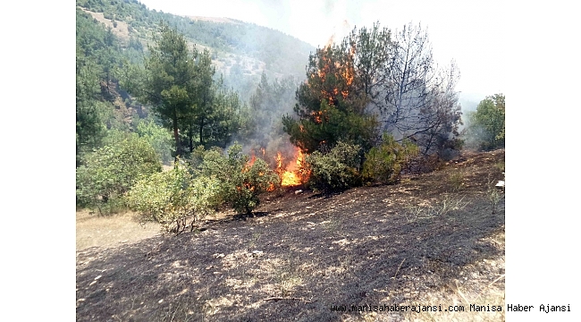 Gördes'te tarla yangını