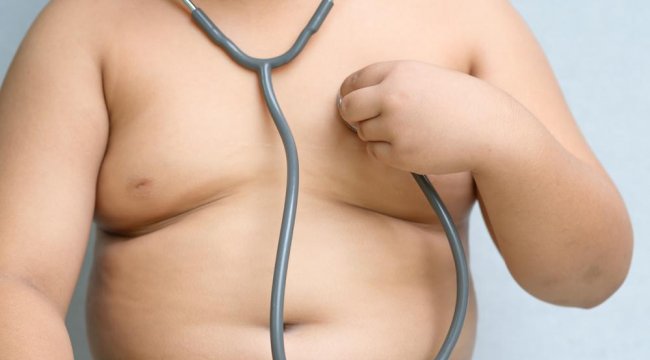 Türk Böbrek Vakfı: 3 milyon obezin yüzde 60'ı çocuk