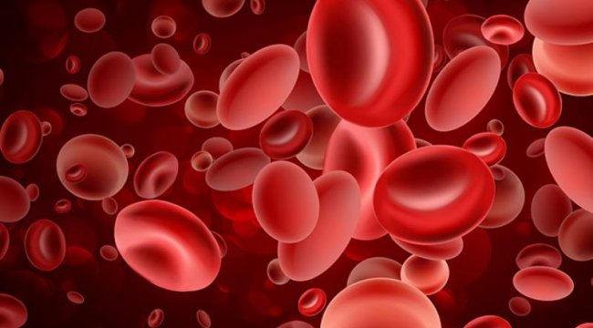 Hematoloji nedir?