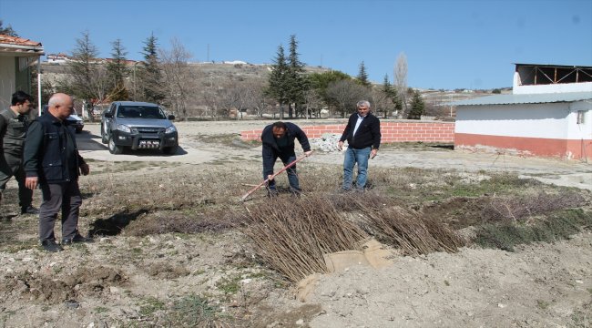 Demirci'de 32 bin hünnap fidanı toprakla buluşacak
