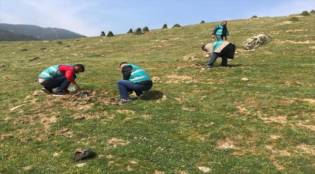 Alaşehir'de Adalet Ormanı oluşturuldu