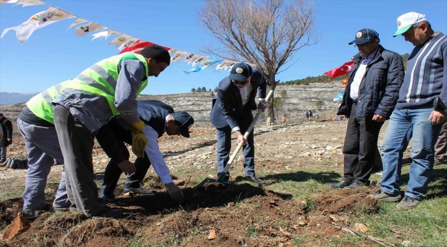 Domaniç&#039;te Orman Haftası etkinliği