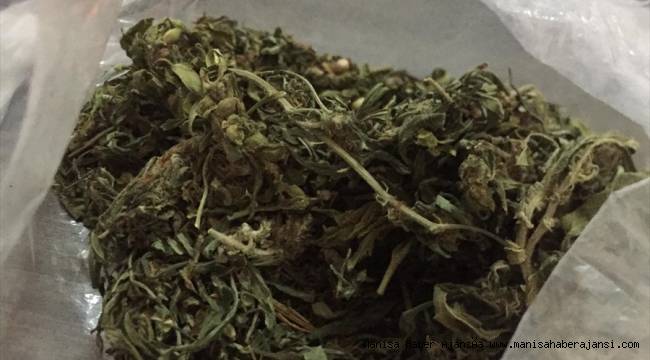Manisa'da uyuşturucu operasyonu