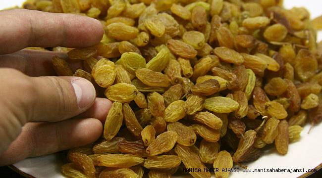 Manisa ticaret borsası çekirdeksiz kuru üzüm fiyatları