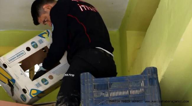 Çatı aralığında kalan kedileri itfaiye kurtardı