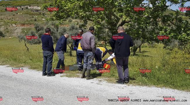 İzmir'de yol kenarında erkek cesedi bulundu