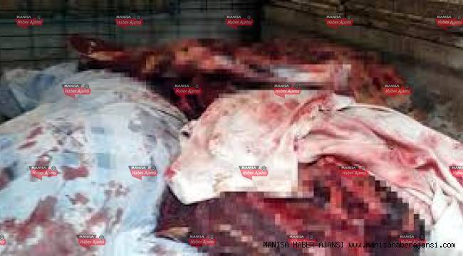 Manisa'da yaklaşık 800 kilogram at eti ele geçirildi