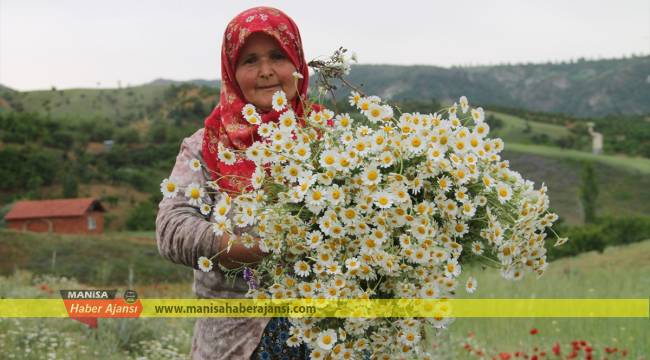 Kadınlar ekmeğini "kır"dan çıkarıyor