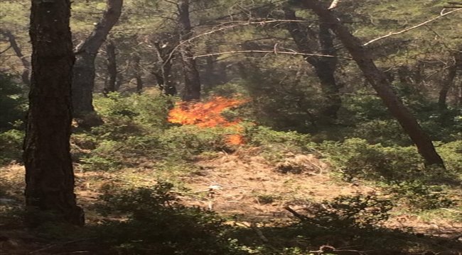 GÜNCELLEME - İzmir'de orman yangını