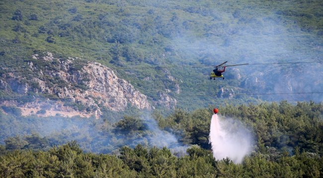 İzmir'de orman yangını