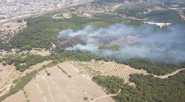 İzmir'de orman yangını