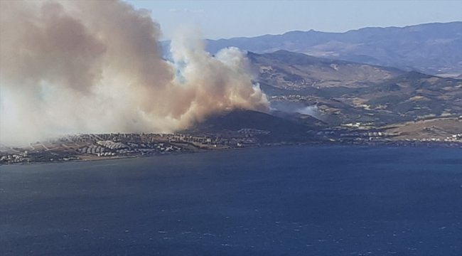 İzmir'de orman yangını