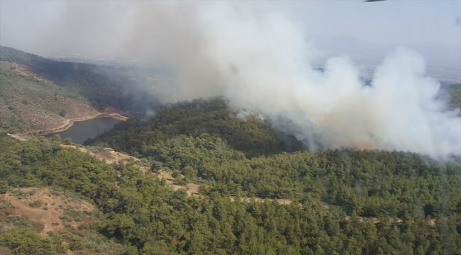 İzmir'de orman yangını