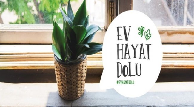 "Ev hayat dolu" bu dayanışmaya siz de ortak olabilirsiniz