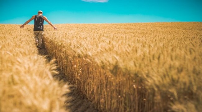 Gıda ve su arzında sıkıntı yaşanmayacak