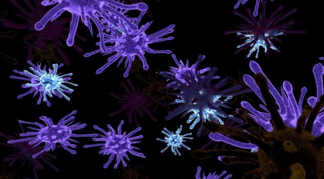 Gürcüstanda koronavirusa yoluxanların sayı 370 nəfərə çatıb