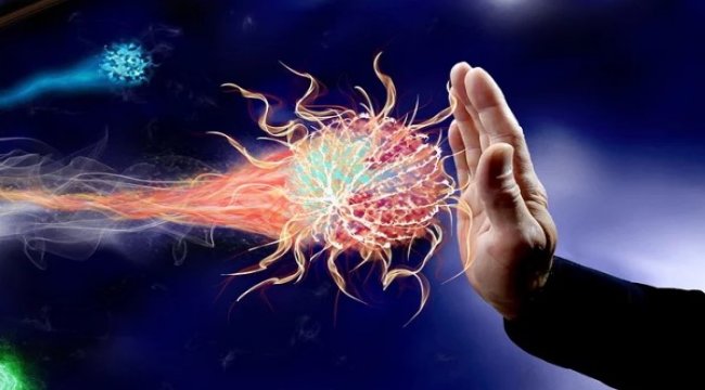 İngiltere'de Ölüm Oranları Son 15 Yılın En Yüksek Seviyesine Ulaştı