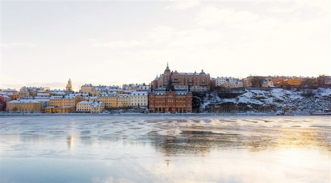 İsveçli sağcı politikacı Stockholm'e 'Corona Virüsü Kapmaya' gitmiş