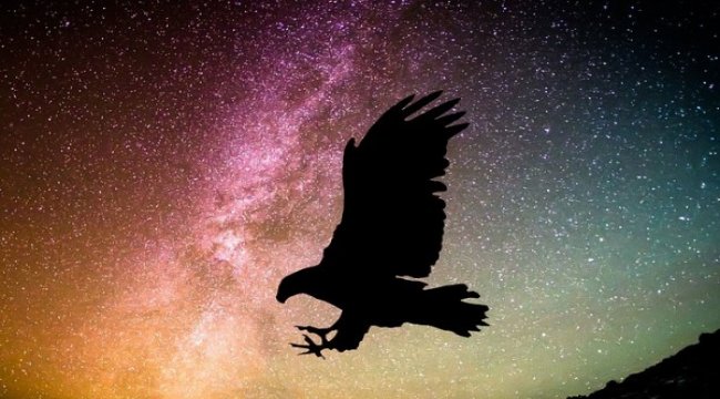 Kaya Kartalı ailesinin yaşamı kamerayla takip edildi