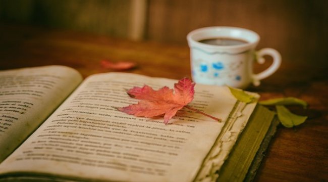 Kitap hediye günü bu yıl evlerde kutlanıyor