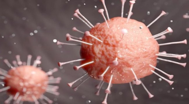 KOVİD-19 Bilimsel araştırma değerlendirme komisyonu kuruldu