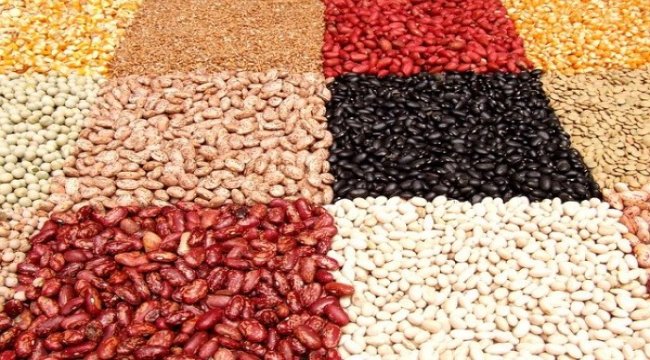 Kuru fasulye ve mercimek için acil eylem planı