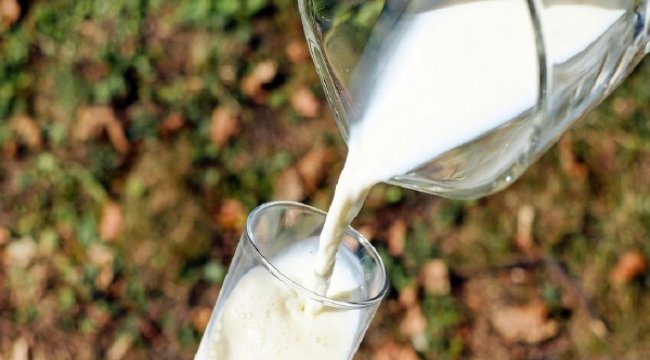 Şubat ayında süt üretimi %9,3 artarak 130 bin 525 ton olarak gerçekleşti
