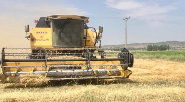 Tarım, hayvancılık ve gıda tedarikinde çalışanlar sokağa çıkma yasağından muaf olacaklar