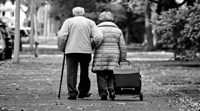 65 yaş ve üzeri kişilerin seyahat izni başvurusu