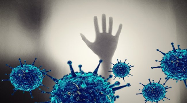 Azərbaycan Respublikasında 230 yeni koronavirus infeksiyasına yoluxma faktı qeydə alınıb