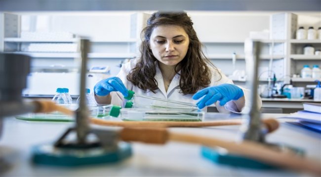 British Council’dan ‘80 yıl, 80 kadın, 80 hikaye’