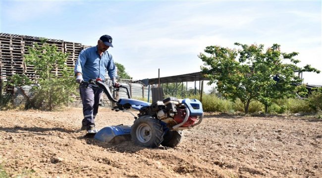 Bu tohumlar Bornova Bamyası’nı geleceğe taşıyacak