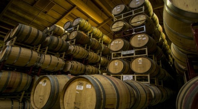 Corona yüzünden 10 milyon litre birayı döküyorlar