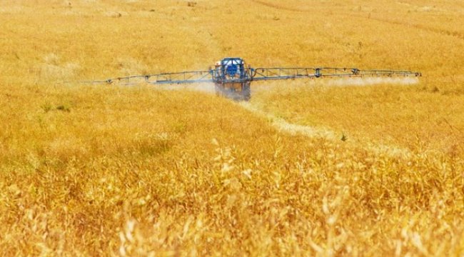 IPARD-II Programı 9. başvuru çağrı ilanına çıkıldı