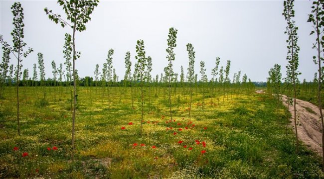 Kendi hammaddeni kendin üret