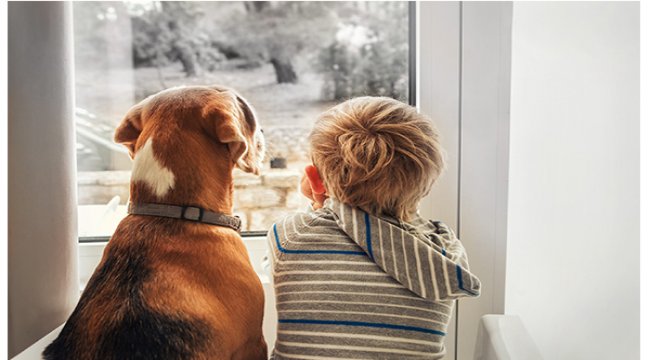 Nestlé Purina PetCare, can dostlarımızın ve hayvan severlerin yanında