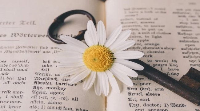 Pandemiyle mücadeleye çeviri sektörünün sessiz desteği devam ediyor