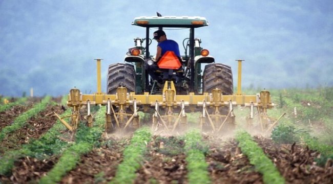 Tümosan, kısa çalışma uygulamasından vazgeçti