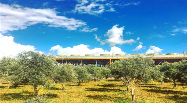 "Türkiye yenilenebilir enerjide cazibe merkezi olacak"