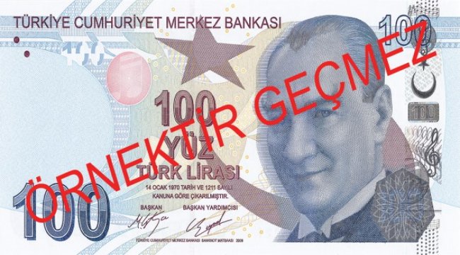 Yeni 100 TL'lik banknotlar tedavüle verilecek