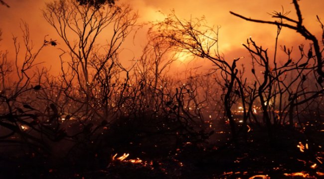 Dünyayı kurtarmak bizim elimizde