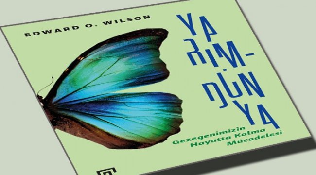Gezegenimizin hayatta kalma mücadelesi