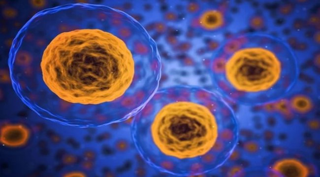 İtaliyan həkimlər koronavirusu daha ölümcül hesab etmədiklərini deyiblər