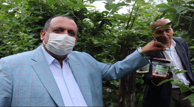 Meyvede verim doğal yöntemlerle artırılacak