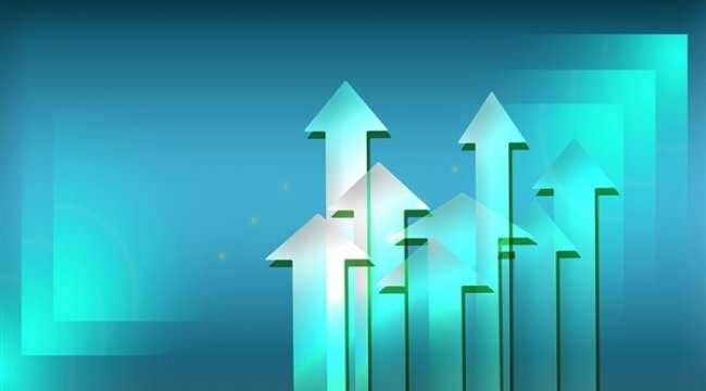 Oylum'da bedelli sermaye artırımı tamamlandı