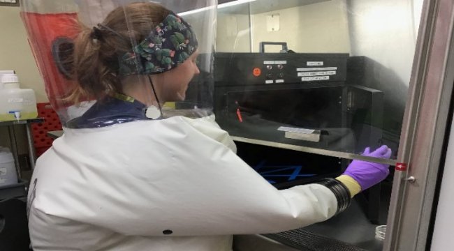 Signify UV-C’leri covid 19 virüsünü etkisiz hale getiriyor