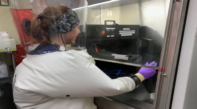 Signify UV-C’leri covid 19 virüsünü etkisiz hale getiriyor