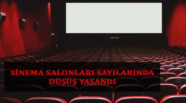 Sinema salonları sayılarında düşüş yaşandı