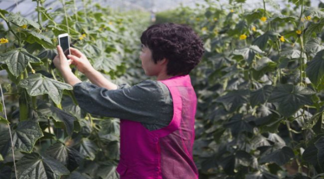 Tüketiciler, gelecekteki sürdürülebilirlik için teknolojik inovasyonları çok önemli bir unsur olarak görüyor